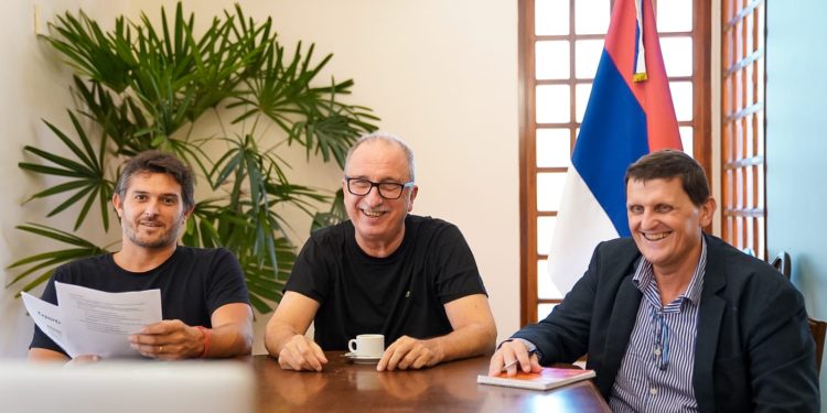 Misiones y el CFI trabajan en estrategias para fortalecer la industria yerbatera