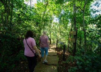 Senderismo consciente y meditación guiada en el Parque Salto Encantado