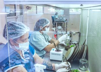 Misiones será sede del Encuentro de Redes de Biotecnología