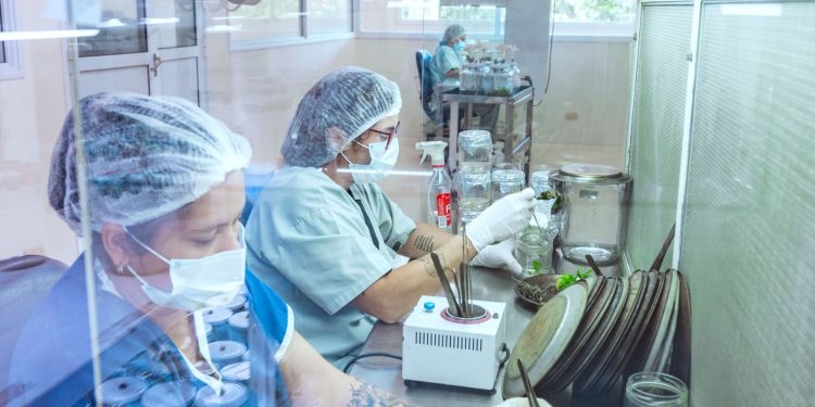 Misiones será sede del Encuentro de Redes de Biotecnología