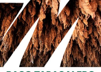 Misiones abonará el pago del segundo tramo del FET a más de 1700 productores tabacaleros