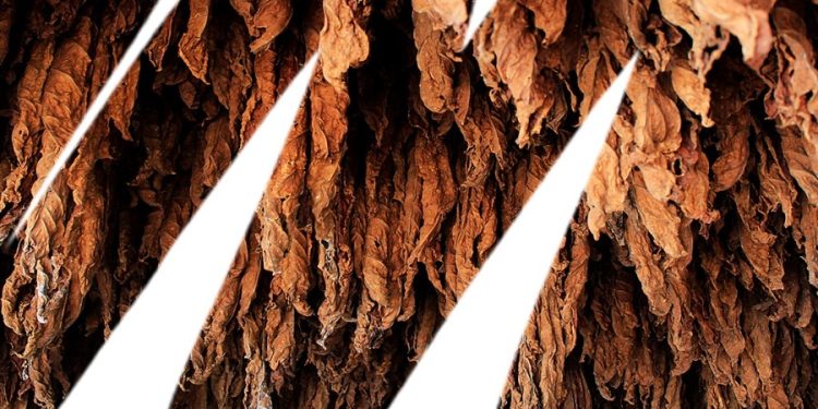 Misiones abonará el pago del segundo tramo del FET a más de 1700 productores tabacaleros