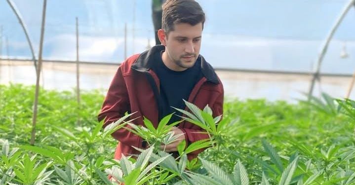 Misiones intercambia con otras provincias experiencias sobre el desarrollo del cannabis con fines medicinales e industriales