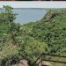Misiones apuesta a la restauración de su selva