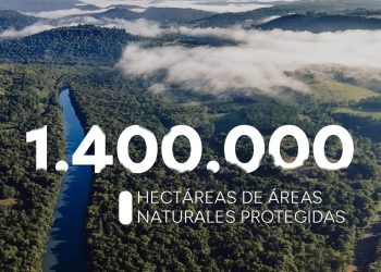 Misiones obtuvo la convalidación nacional de su plan de respuesta al Cambio Climático