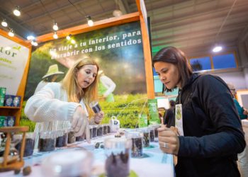 Expo Té, una sinergia entre identidad productiva, turismo y sabores misioneros