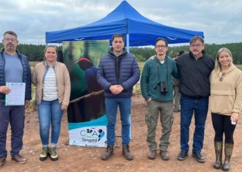 Con una jornada de observación de aves, se celebró la creación del Paisaje Protegido Arroyo Cazador en San Ignacio