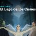 Parque del Conocimiento: El Lago de los Cisnes regresa al Teatro Lírico