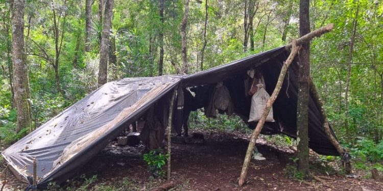 Interceptan cazadores furtivos dentro del Parque Provincial Urugua-í
