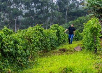 Chacras multiproductivas: proponen un régimen para diversificar la producción y fortalecer el arraigo rural