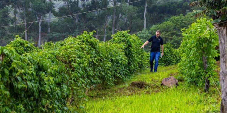 Chacras multiproductivas: proponen un régimen para diversificar la producción y fortalecer el arraigo rural