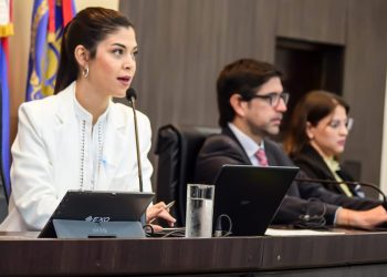 Posadas: proponen implementar el Programa “el Concejal al Barrio”