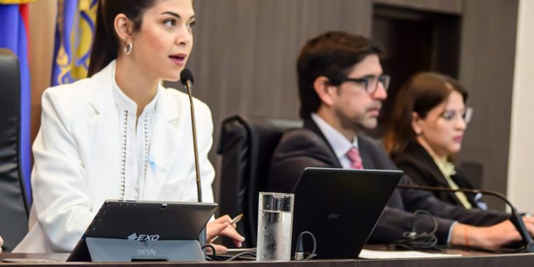 Posadas: proponen implementar el Programa “el Concejal al Barrio”