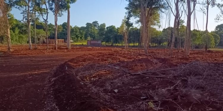 El Ministerio de Ecología rechazó la viabilidad ambiental del proyecto de kartódromo en Puerto Iguazú