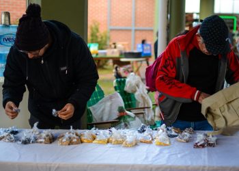 Eldorado celebró la Feria de Intercambio de Semillas Nativas y Criollas