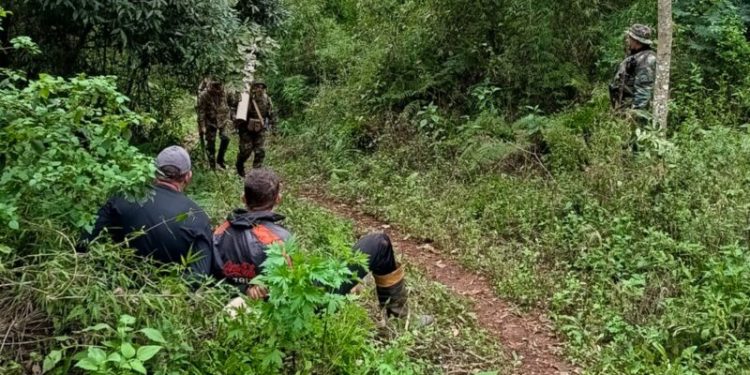 Guardaparques sorprendieron a cazadores furtivos brasileños en la Reserva de Biósfera Yabotí