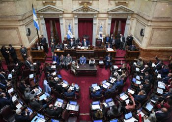 El Senado insistió con la Ley de Emergencia en Discapacidad