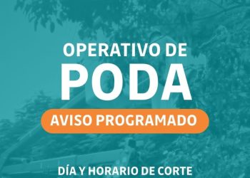 Este jueves, Energía de Misiones realizará operativos de poda en Posadas