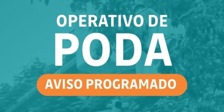Este jueves, Energía de Misiones realizará operativos de poda en Posadas
