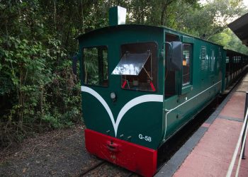 Tren Ecológico de la Selva: símbolo de sostenibilidad y compromiso social