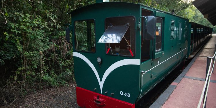 Tren Ecológico de la Selva: símbolo de sostenibilidad y compromiso social