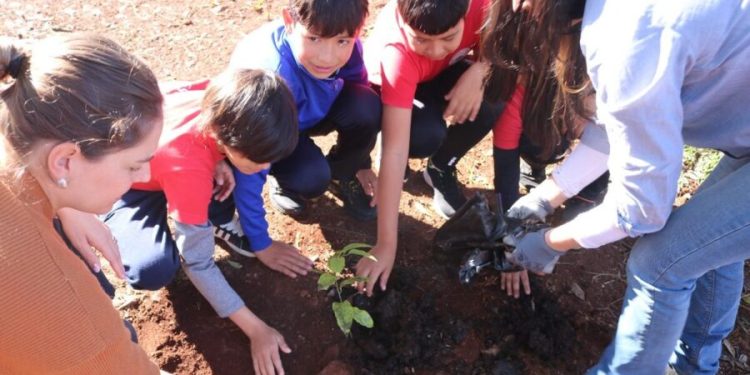Oberá: el Salto Berrondo se enriquece con especies nativas para un turismo más sostenible