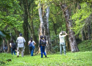 Este fin de semana se realizará una jornada de observación de aves en Corpus