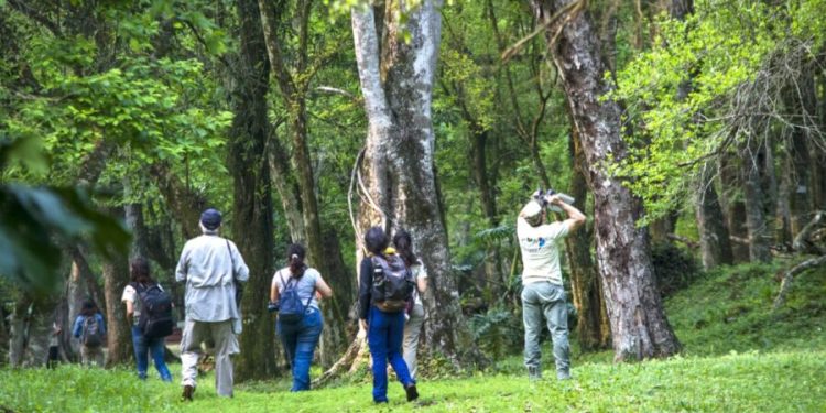 Este fin de semana se realizará una jornada de observación de aves en Corpus