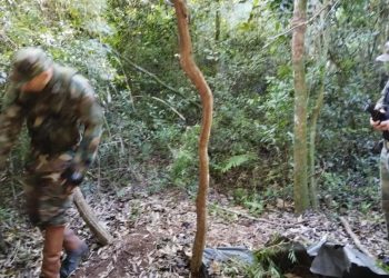Guardaparques refuerzan patrullajes en áreas protegidas de Misiones