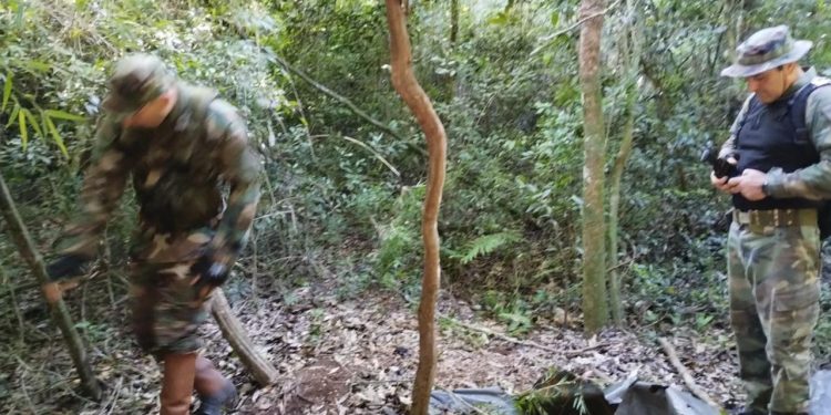 Guardaparques refuerzan patrullajes en áreas protegidas de Misiones