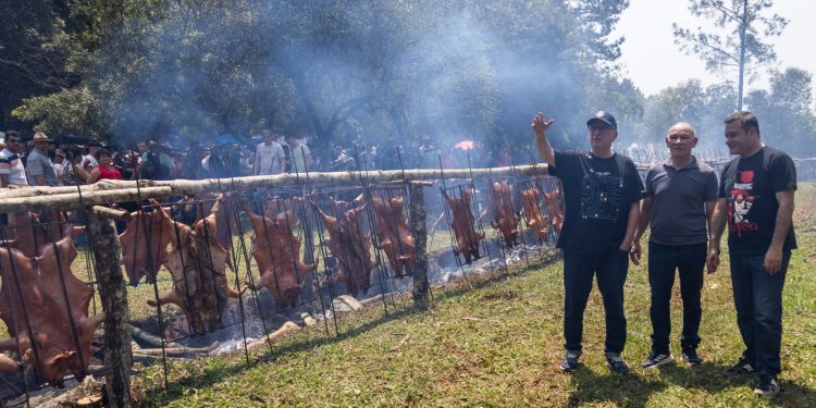 Ventas récord de carne en la 11º edición de la Fiesta Provincial del Lechón