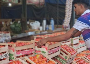 Acuerdo Histórico en el Mercado Central: Aumento del 35% en el Precio de la Estiba