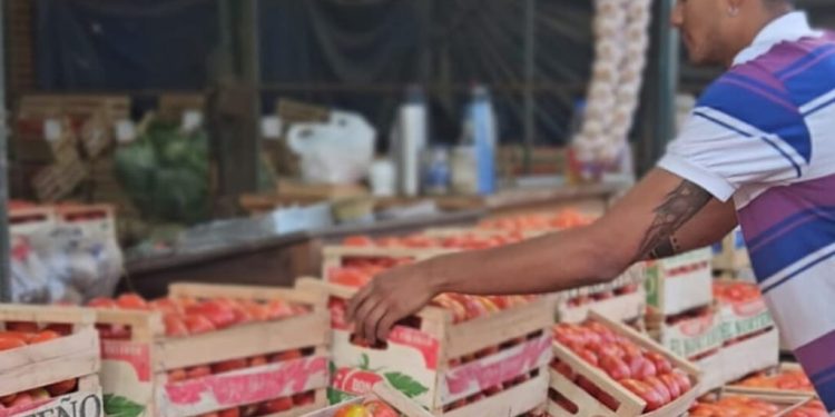 Acuerdo Histórico en el Mercado Central: Aumento del 35% en el Precio de la Estiba