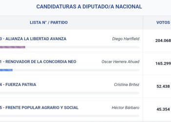 En Misiones se repitió el escenario de 2023: triunfo libertario y fuerte presencia renovadora