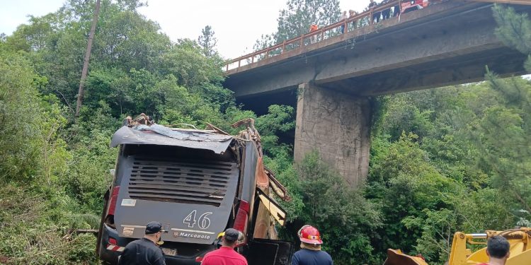 Tragedia en Campo Viera: identificaron a las víctimas y heridos del siniestro vial ocurrido en la RN 14