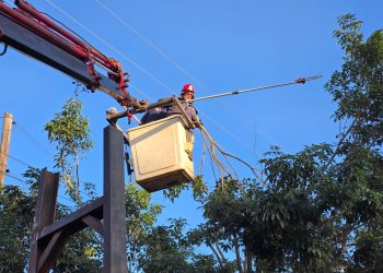 Energía de Misiones continúa con el operativo de despeje de líneas en Posadas