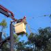 Energía de Misiones continúa con el operativo de despeje de líneas en Posadas