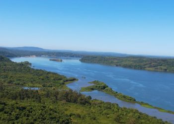 Protección ambiental: comenzó la veda de pesca en la provincia