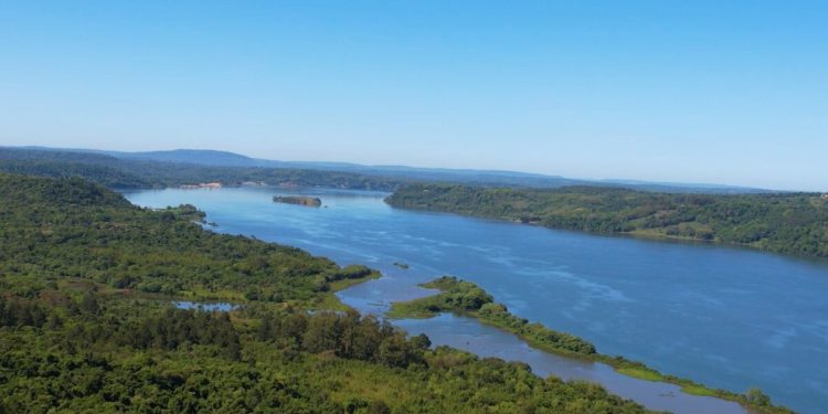Protección ambiental: comenzó la veda de pesca en la provincia