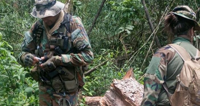 Ecología detectó la extracción ilegal de madera nativa en el Parque Provincial Piñalito