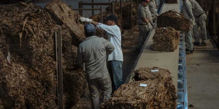 Misiones fijó el precio del tabaco con un acuerdo que fortalece la cadena productiva
