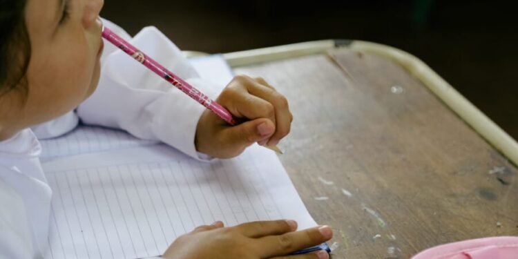 Misiones invierte $1.150 millones para acondicionar escuelas de cara al inicio de clases