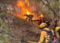 Vocación y entrega: brigadistas misioneros brindan apoyo en el combate de incendios en la Patagonia