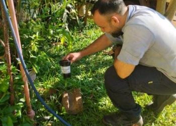 Refuerzan acciones para la lucha y control del mosquito Aedes aegypti