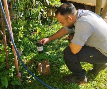 Refuerzan acciones para la lucha y control del mosquito Aedes aegypti