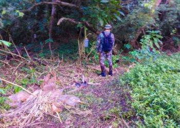 Ecología refuerza patrullajes preventivos en el Parque Salto Encantado