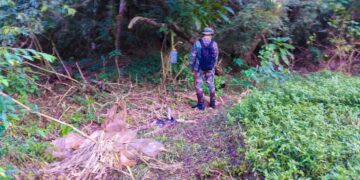 Ecología refuerza patrullajes preventivos en el Parque Salto Encantado