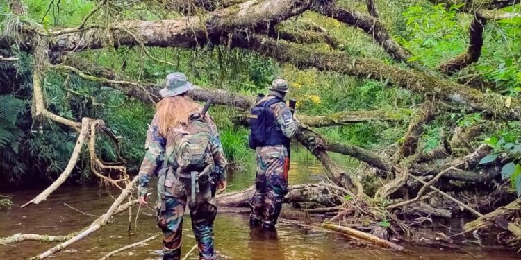 Guardaparques refuerzan controles y prevención de ilícitos ambientales en el Parque Provincial Horacio Foerster
