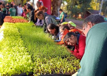 Eldorado: la Secretaría de la Producción amplía su cobertura para llegar a más familias