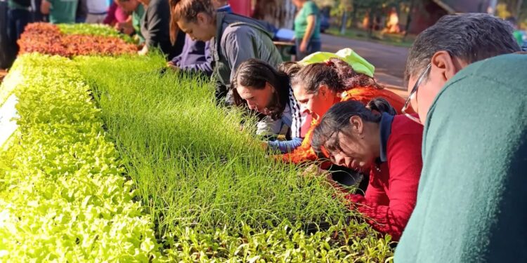 Eldorado: la Secretaría de la Producción amplía su cobertura para llegar a más familias